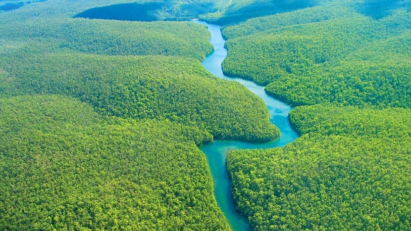 Recursos naturales biomasa